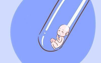 女同伴侣借卵代怀